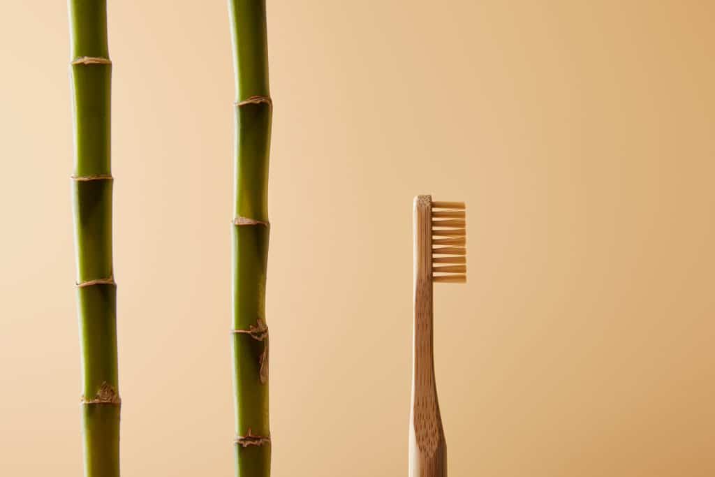 Brosse à dents en bambou