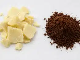 beurre de cacao ivoire et cacao en poudre brun issus de la même fève
