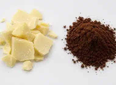 beurre de cacao ivoire et cacao en poudre brun issus de la même fève