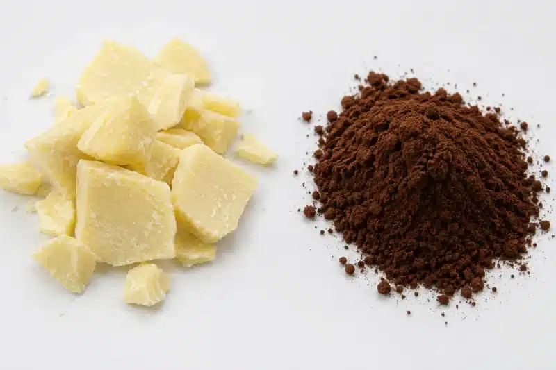 beurre de cacao ivoire et cacao en poudre brun issus de la même fève